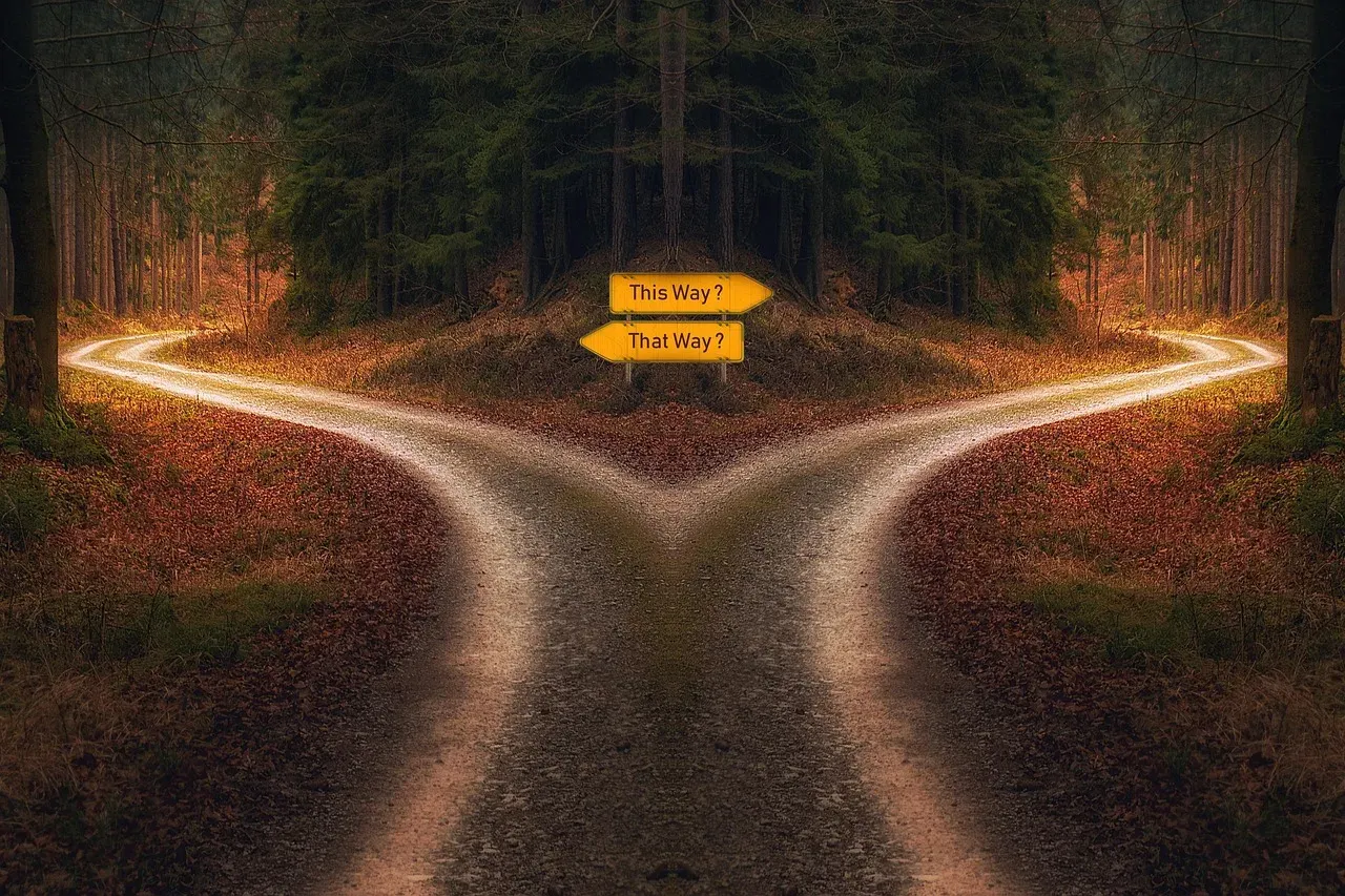 Un chemin forestier qui se sépare en deux directions éclairées, avec deux panneaux jaunes marqués « This Way ? » et « That Way ? ».